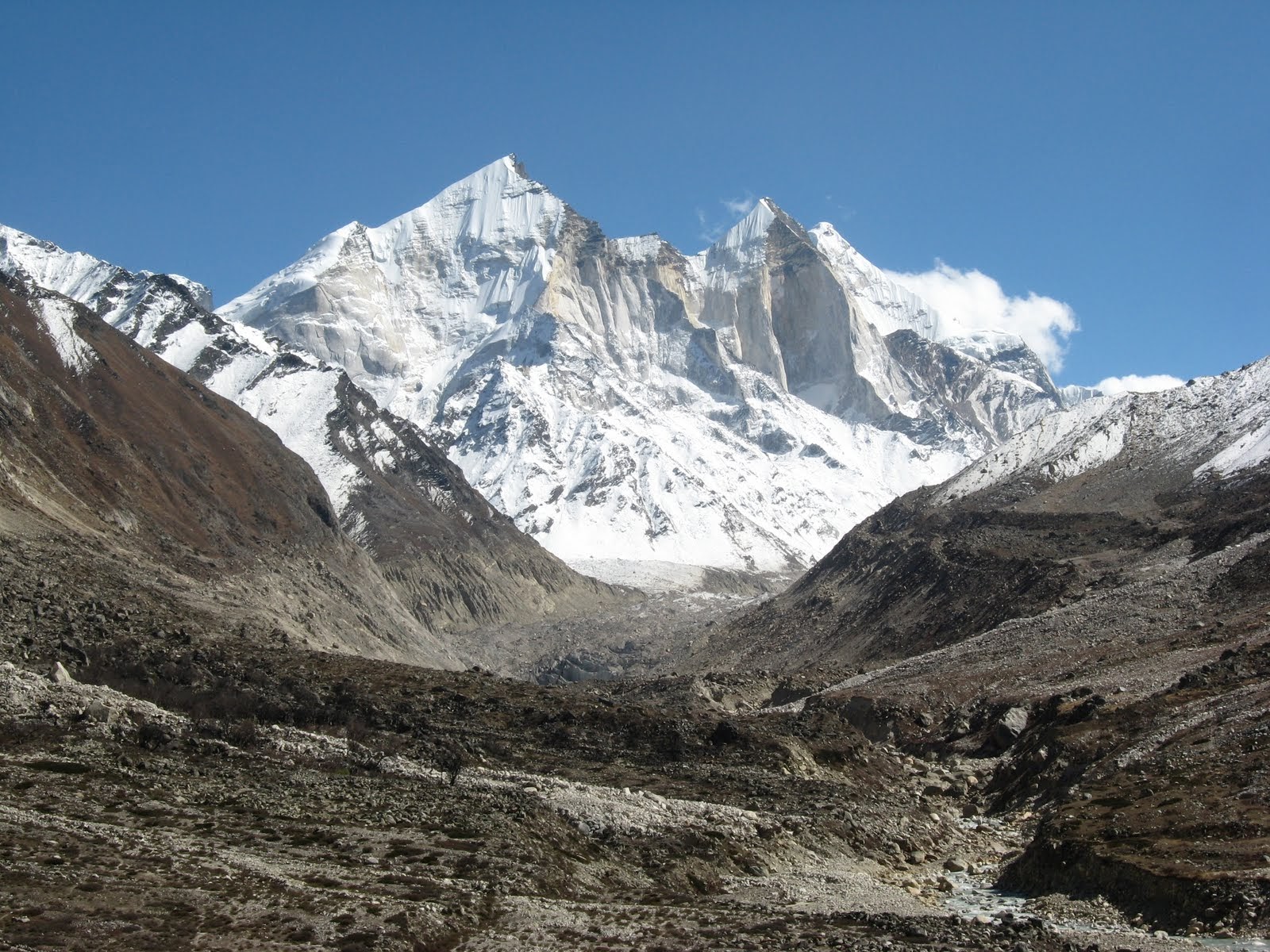 SHILAJIT – WONDER OF THE HIMALAYAS